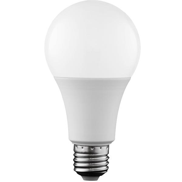 لامپ LED حبابی 25 وات نیکانور – مهتابی